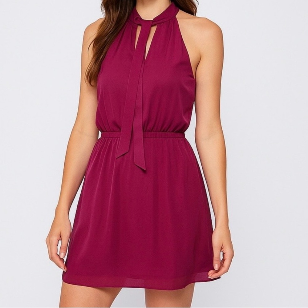 Banana Republic Magenta Halter Tie Neck Chiffon Dress 00P